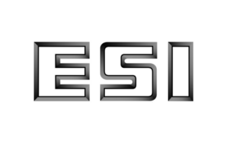 ESI construction all white logo