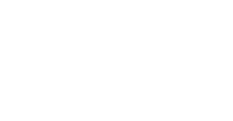 vestis systems